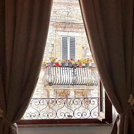 La Cattedrale Assisi